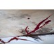 Wandbild The Lightning abstraktes Wandbild von Slavova Art