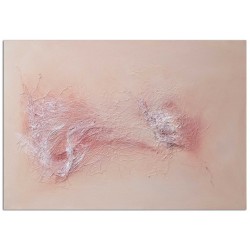 Acrylbilder Abstrakt Seide Cosmos